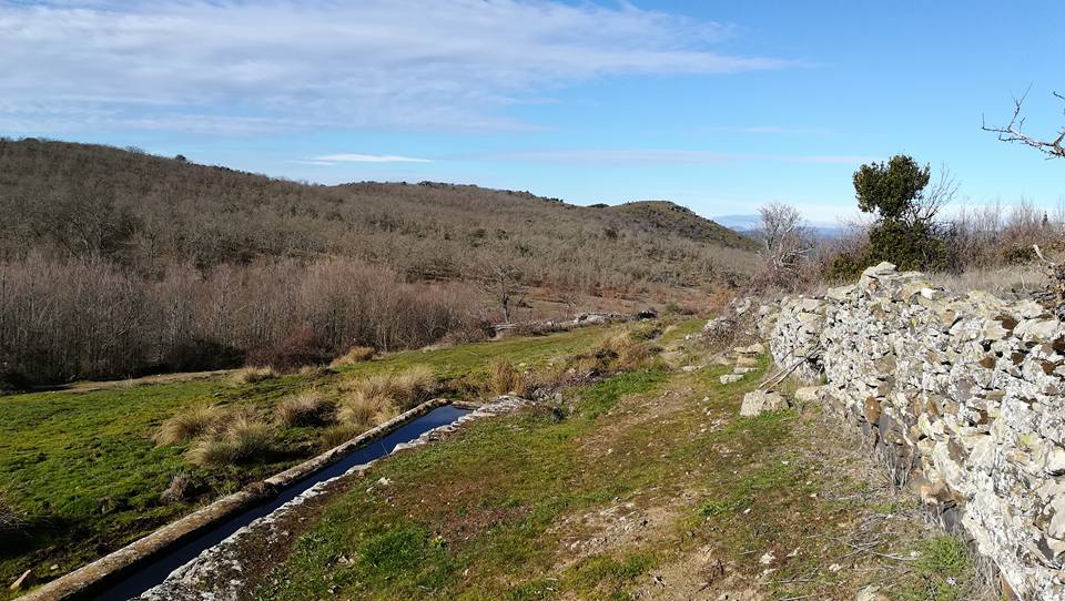 Vistas